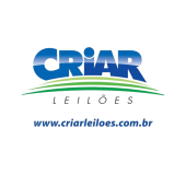 Criar Leilões